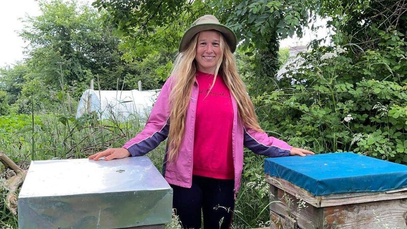 Cork woman: ‘I just became the bee rescue girl’
