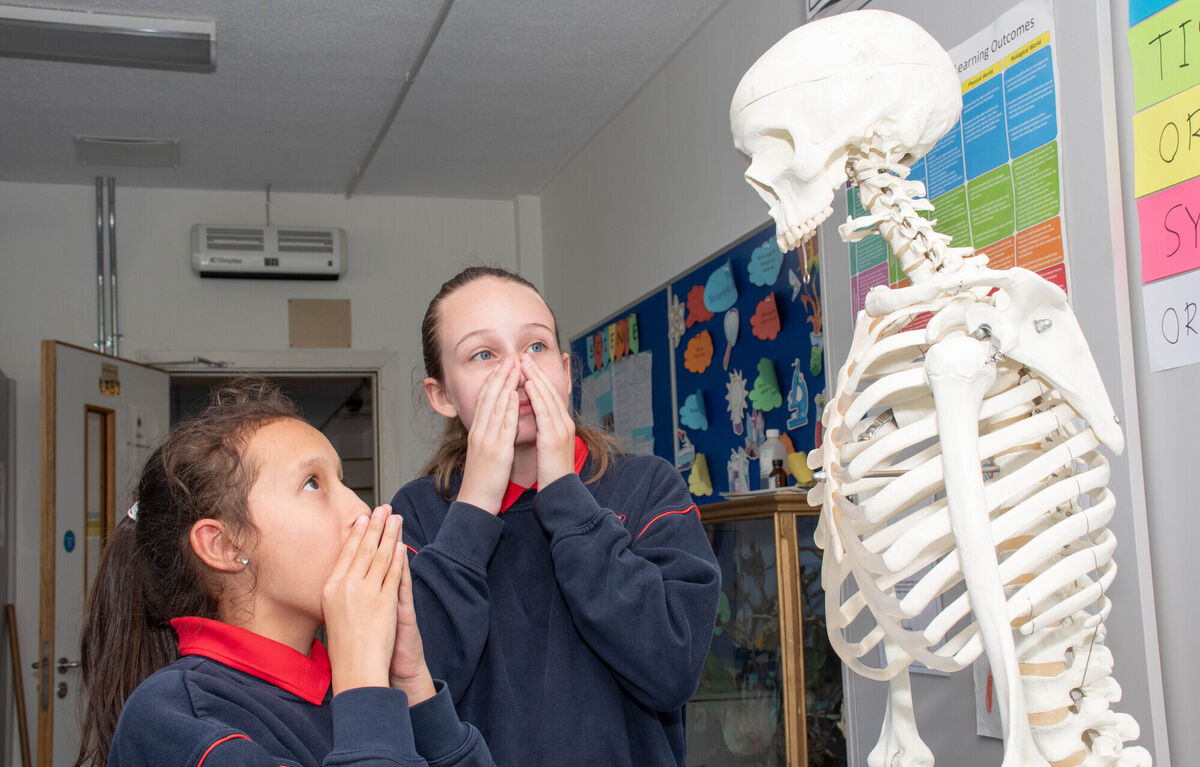 Layla Cullinane and Mia Sheehan from Scoil Padre Pio Churchfield look shocked as they meet the class skeleton in the science room during the recent Student For A Day in North Mon. Picture: Howard Crowdy
Layla Cullinane and Mia Sheehan from Scoil Padre Pio Churchfield look shocked as they meet the class skeleton in the science room during the recent Student For A Day in North Mon. Picture: Howard Crowdy