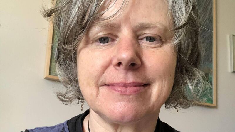 My Career: Cork artist's year-long project at the Glen River Park culminates this weekend