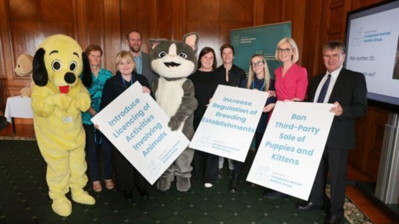 Stormont urged to introduce new regulations around pet breeding Stormont urged to introduce new regulations around pet breeding