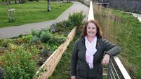 Tidy Towns volunteer: 'Don’t just go and moan about this, be part of the solution'