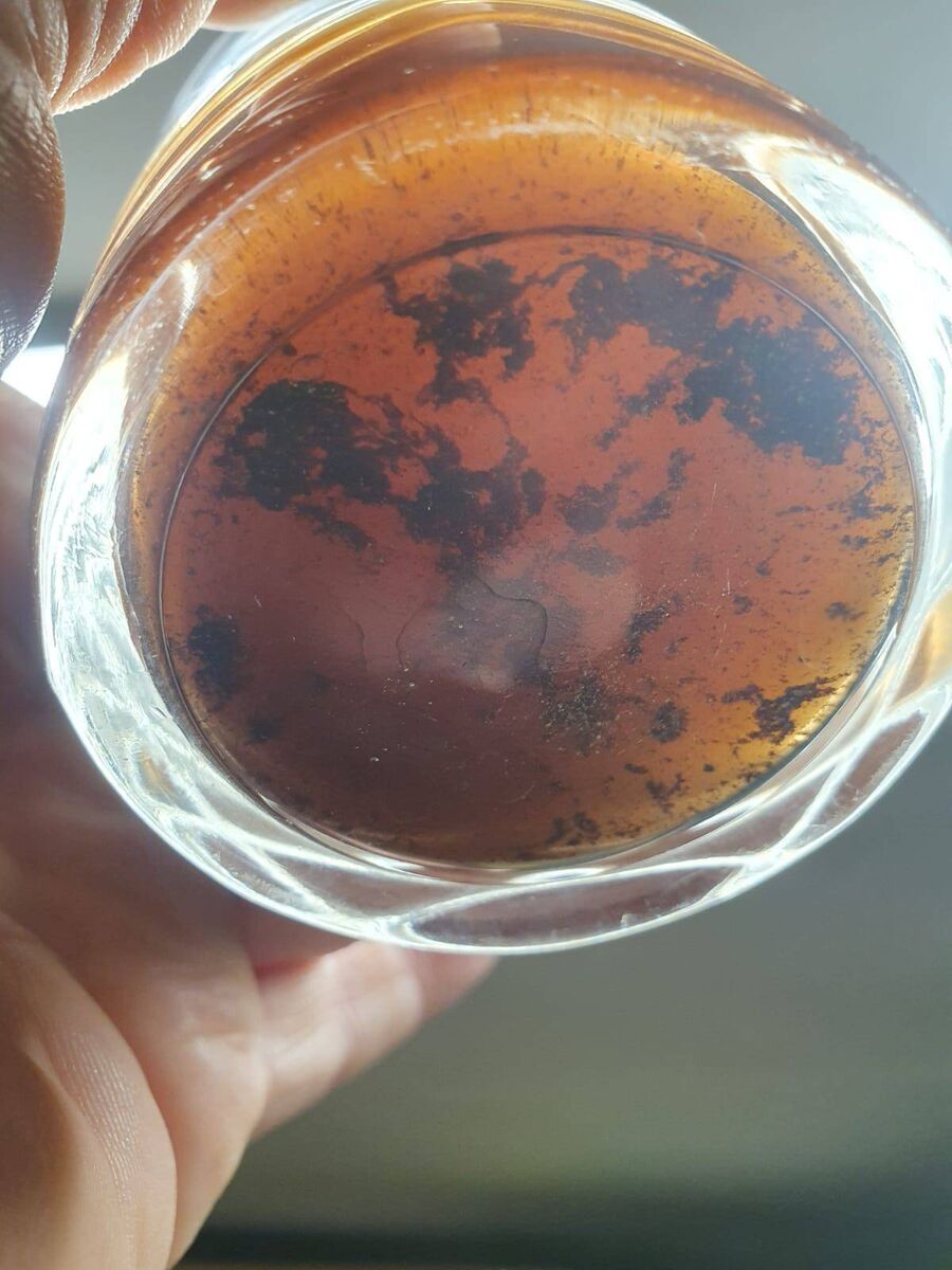 Water sample showing sediment taken at Mount Farran.