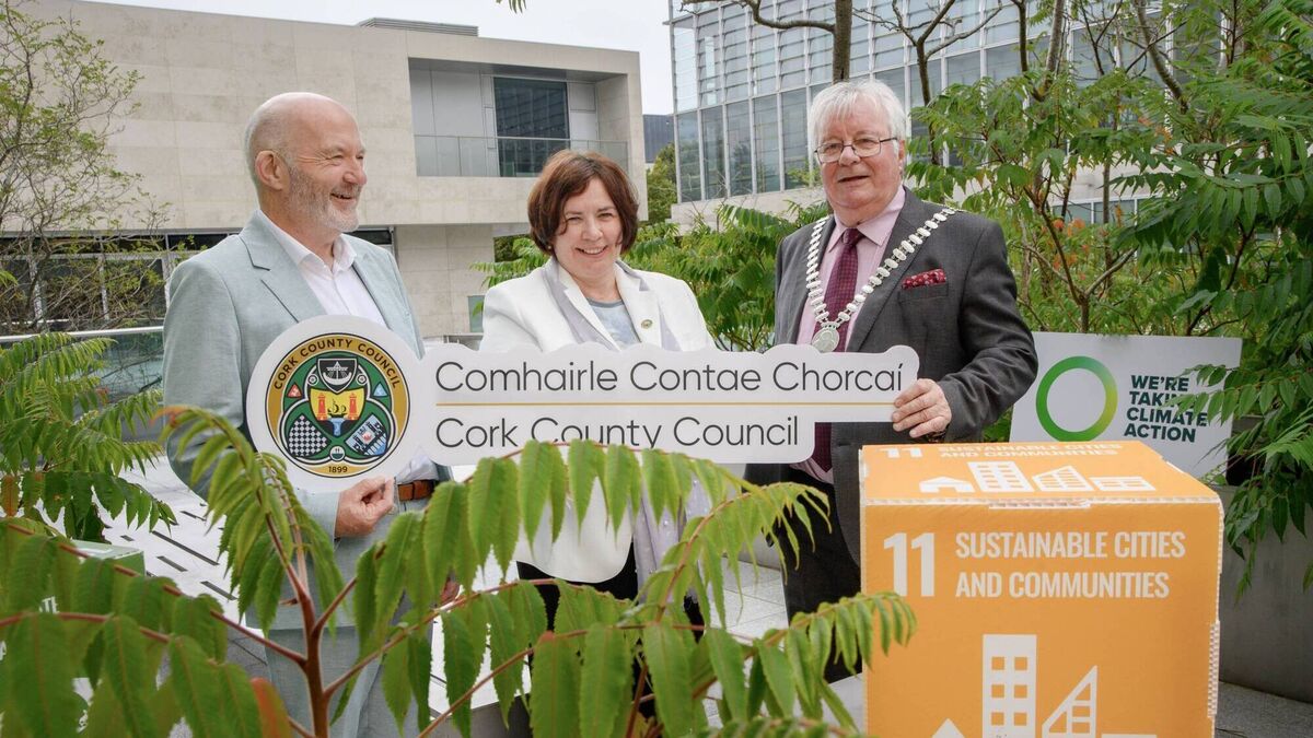 County Mayor's column: A good week for Culture Night, climate action ...
