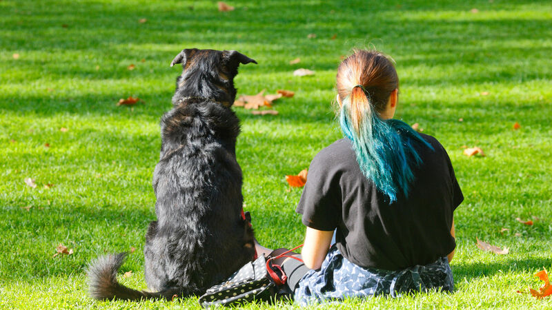 Councillor welcomes move to develop pilot dog park in Cork city suburb 