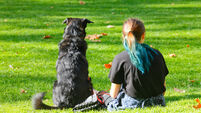 Girl and the dog resting on the grass