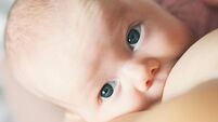 Baby eating mother's milk. Mother breastfeeding baby.
