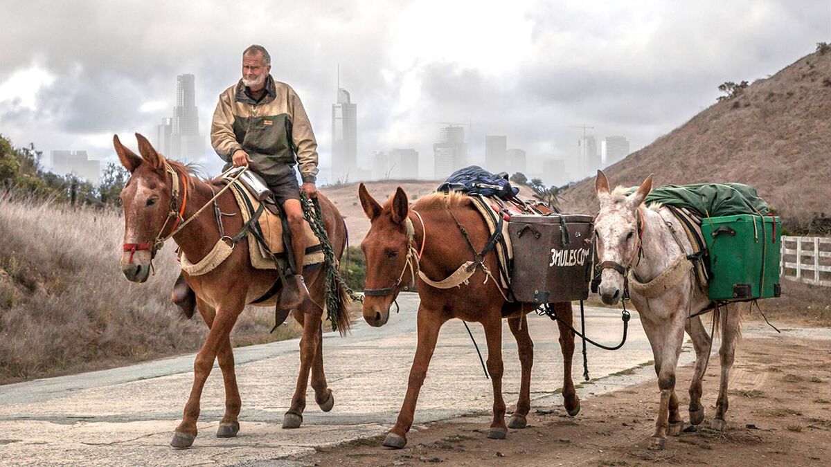 Call Me Mule documentary by John McDonald will be screened at the Indie Cork festival. Call Me Mule documentary by John McDonald will be screened at the Indie Cork festival.