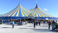 Two acts added to Live at the Marquee 2025 line-up