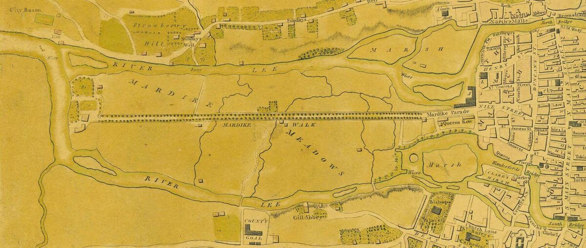 A section of William Beaufort’s 1801 Plan of the city and suburbs of Cork shows the Mardyke Walk with its young trees. Courtesy: Cork City Library.