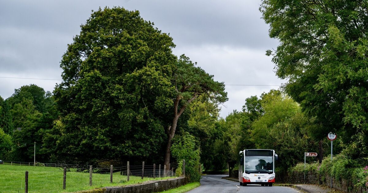 Twohour bus wait for Cork commuters