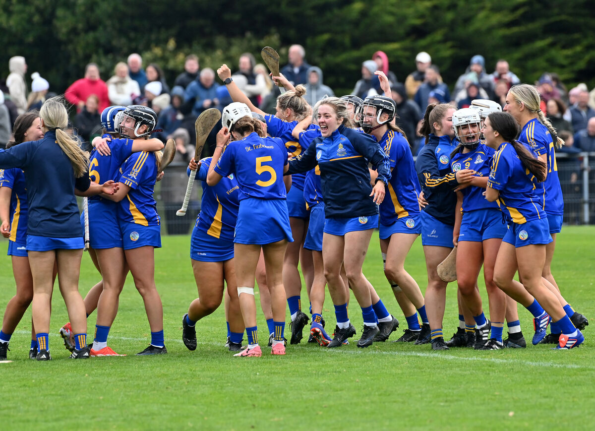 St Finbarr's players celebrate at the final whistle after the SE Systems Cork Senior Camogie Championship final at Castle Road. Picture: Dan Linehan St Finbarr's players celebrate at the final whistle after the SE Systems Cork Senior Camogie Championship final at Castle Road. Picture: Dan Linehan