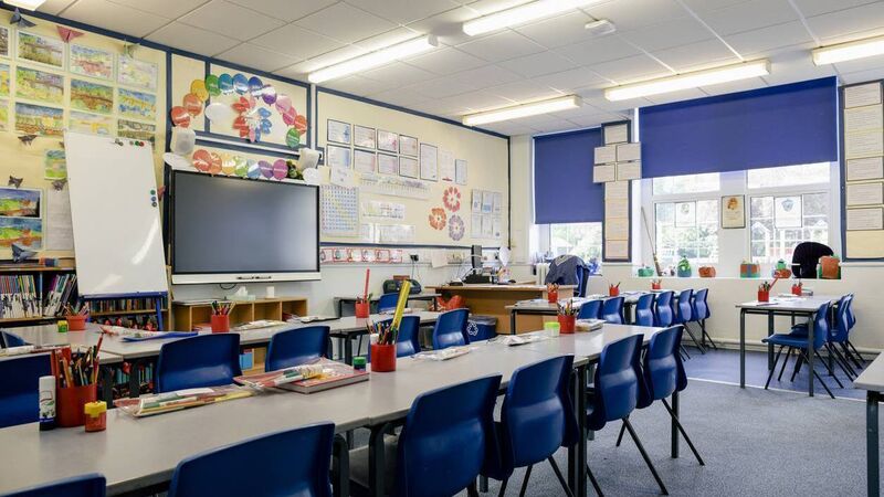 Irish exemptions for students with dyslexia should not be abolished, says Cork senator