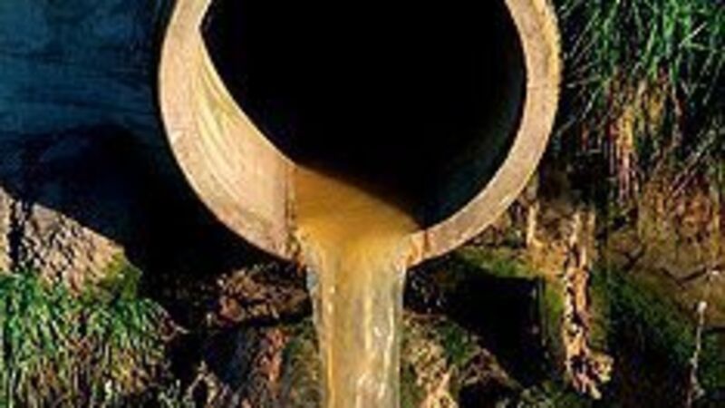 Raw sewage being discharged from two Cork locations, report finds Raw sewage being discharged from two Cork locations, report finds