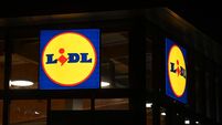 Lidl to seek planning for €200m regional distribution centre in Cork, retailer to also open two new stores 