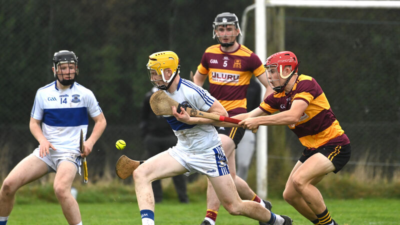 Dr Harty Cup: De La Salle prove too strong for Gaelcholáiste Mhuire
