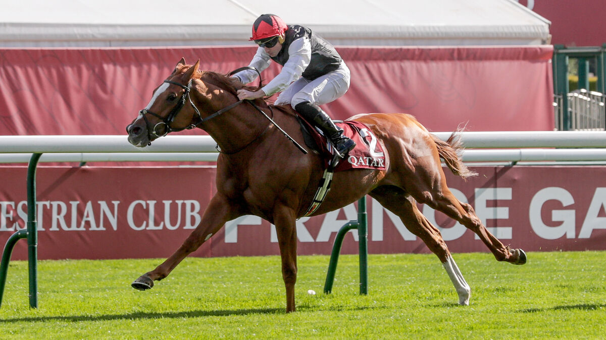 Cork Racing: Champions Day brings end to great flat racing season