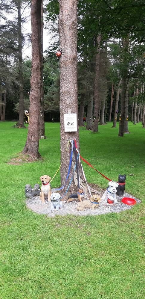 The Fairy Garden in Macroom The Fairy Garden in Macroom