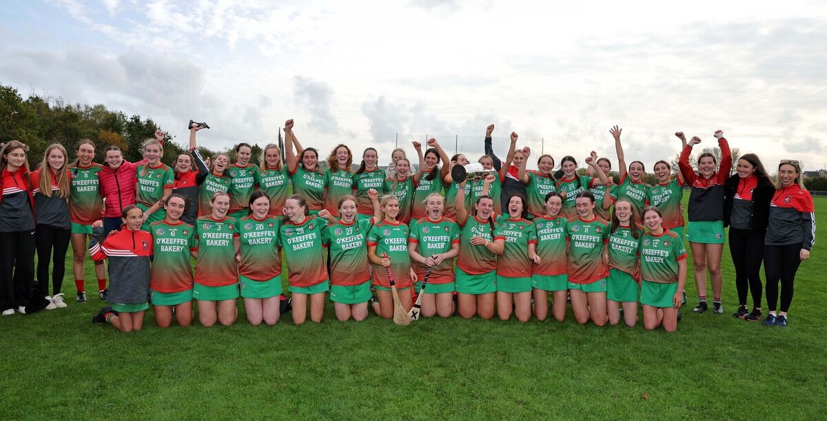  Ballinora are moving up to the top ranks for 2025. Picture: Jim Coughlan.