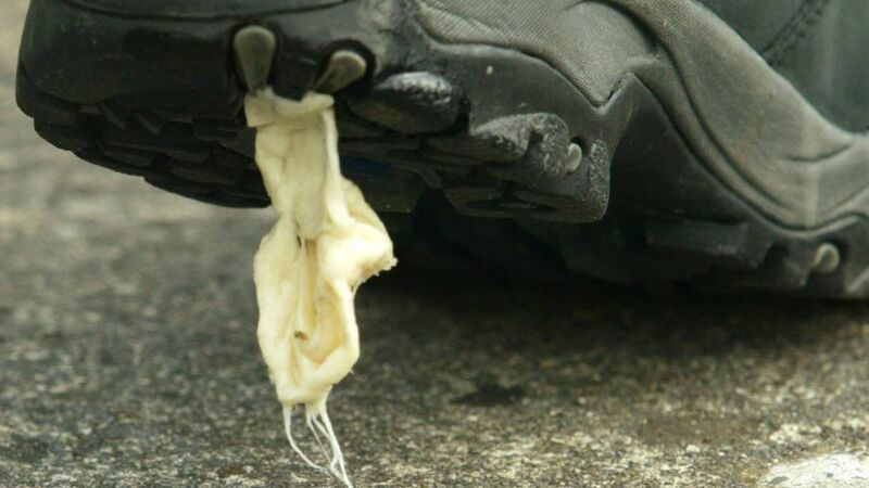 Here’s something to chew on.. let’s ban this unsightly gum