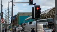Crow at traffic light with red signal against backdrop of cityscape