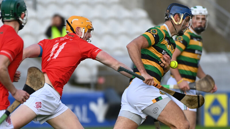 Dr Jennifer Hayes continues to make her mark on Cork GAA adding two more titles Dr Jennifer Hayes continues to make her mark on Cork GAA adding two more titles