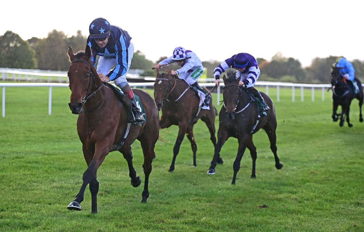 Calzaghi and Robbie Colgan win for trainer Kevin Coleman. Picture: Healy Racing Calzaghi and Robbie Colgan win for trainer Kevin Coleman. Picture: Healy Racing