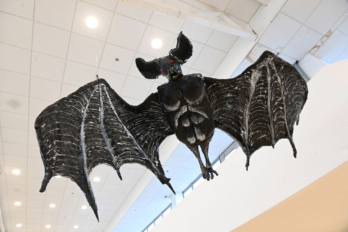 Bert the Bat, lovingly created by students from Regina Mundi Secondary School, is just one member of the Haunting Horde. Bert the Bat, lovingly created by students from Regina Mundi Secondary School, is just one member of the Haunting Horde.