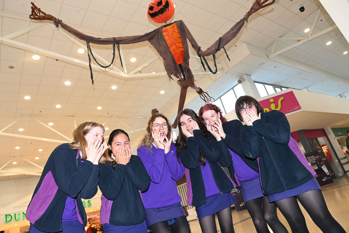 The talented Regina Mundi students picked up plenty of new skills whilst working on the project. The talented Regina Mundi students picked up plenty of new skills whilst working on the project.