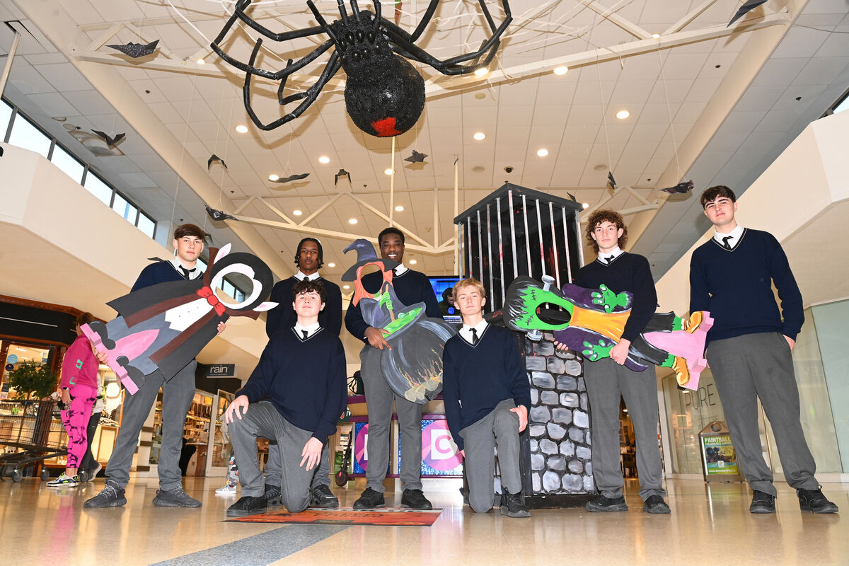Transition year students from Douglas Community School pictured with their creations at Douglas Court Shopping Centre, where customers are loving the new additions. Transition year students from Douglas Community School pictured with their creations at Douglas Court Shopping Centre, where customers are loving the new additions.