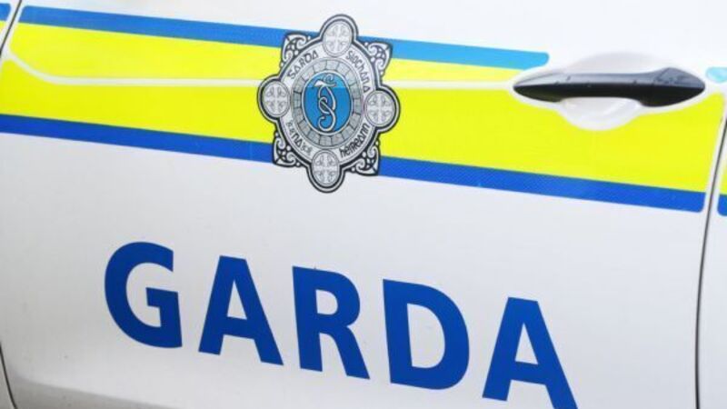 Two men arrested in Dublin after shotgun seized by gardaí Two men arrested in Dublin after shotgun seized by gardaí
