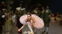 Cork City Ballet to bring 'perfect family favourite' to Opera House stage 