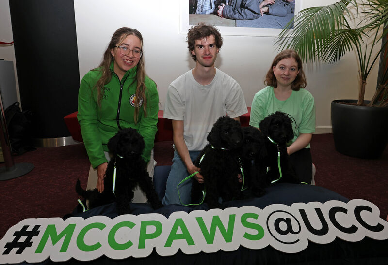  UCC students, Maeve Barrett, Darragh Hernan and Ellie Cullinan with 10.5 week old Golden labradoodles. Picture: Jim Coughlan.
