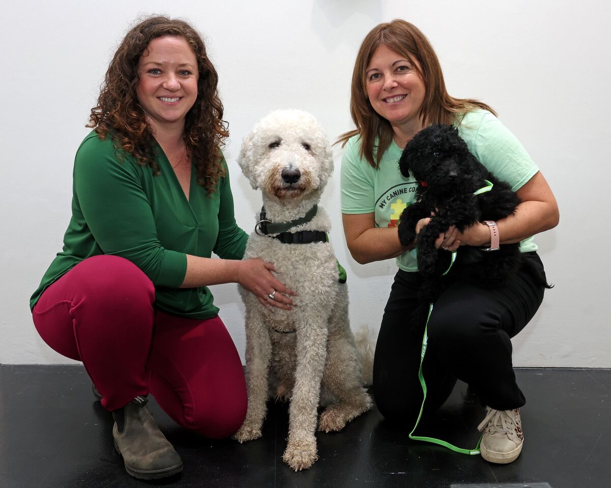  Kathryn Sheehan, UCC Disability Support Service and Romeo with Cliona O'Rourke, My Canine Companion founder and Faye, 10.5 week old Golden Labradoodle. Picture: Jim Coughlan.