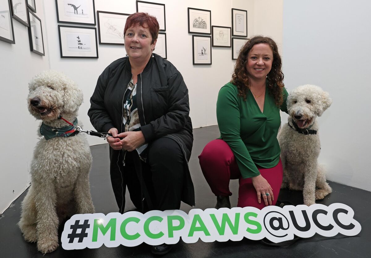  Remi and Martha Henchion, UCC Admissions staff with Kathryn Sheehan, UCC Disability Support Service and Romeo. Picture: Jim Coughlan.