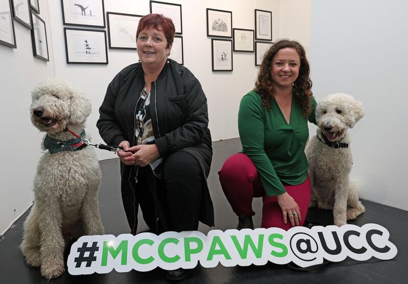  Remi and Martha Henchion, UCC Admissions staff with Kathryn Sheehan, UCC Disability Support Service and Romeo. Picture: Jim Coughlan.