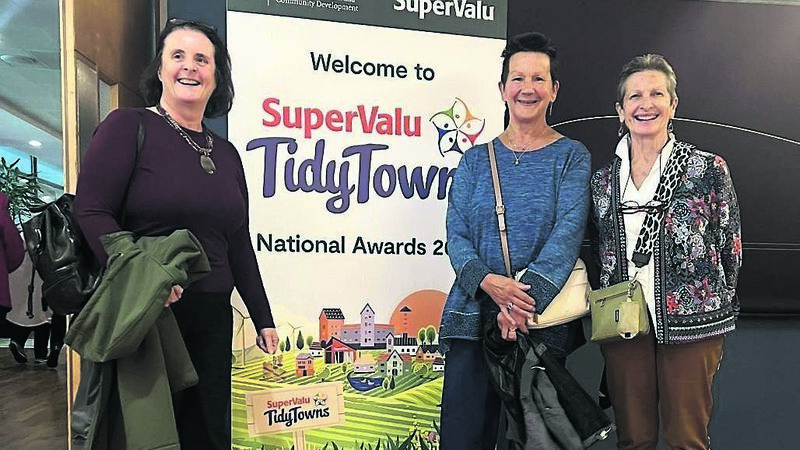 All About Cork: Delight as Douglas Tidy Towns earn second bronze medal award All About Cork: Delight as Douglas Tidy Towns earn second bronze medal award