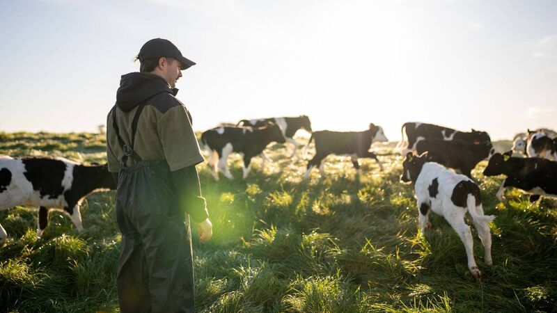 University College Cork scheme driving sustainable farming practices University College Cork scheme driving sustainable farming practices