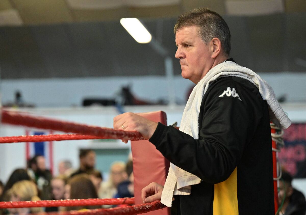 Boxing Gordon Cork Boxing clubs are now back investing time on senior boxers and ...