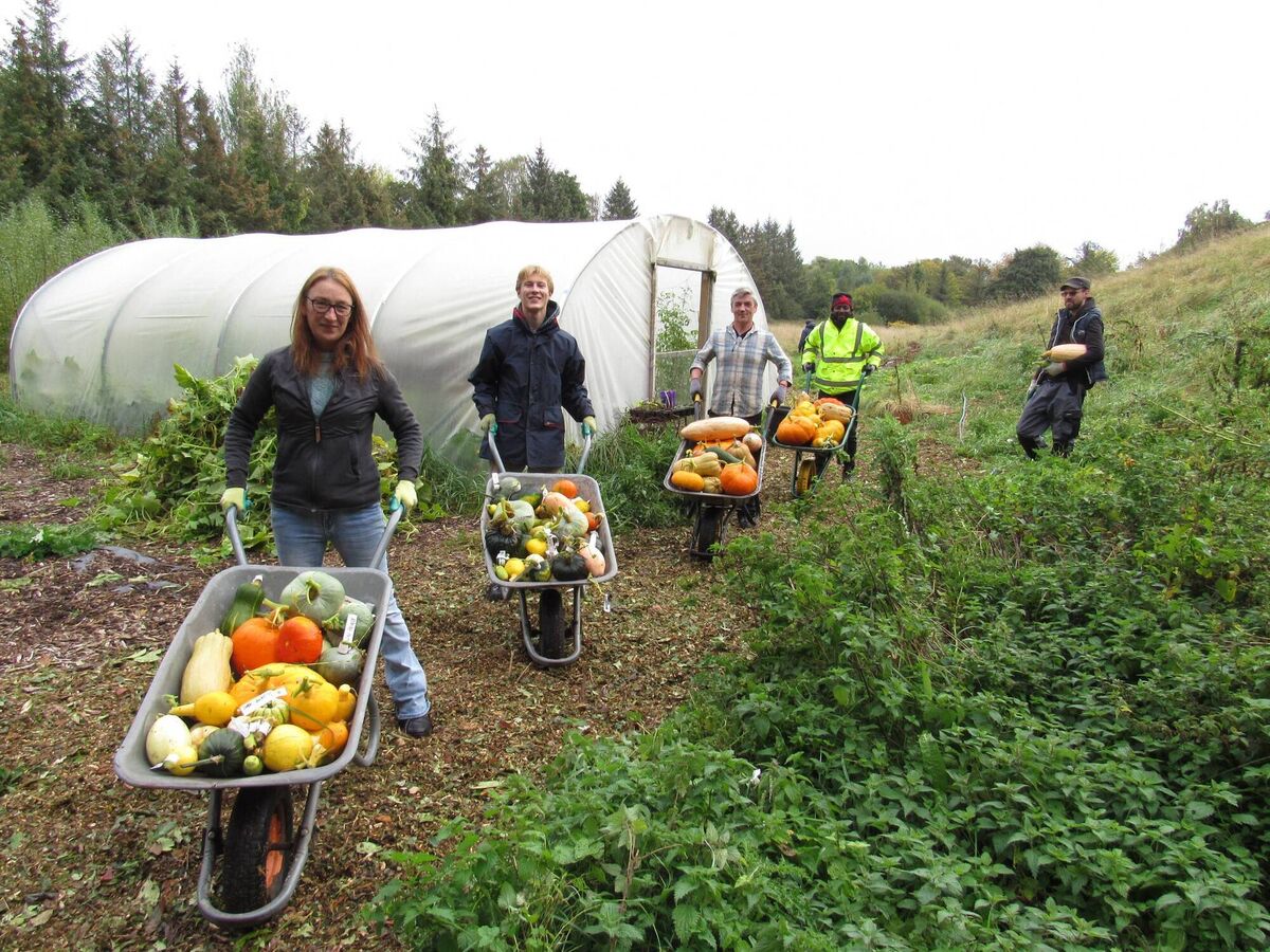 The horticultural facility at SHEP (Social and Health Education Project) which is fifty years old this year.