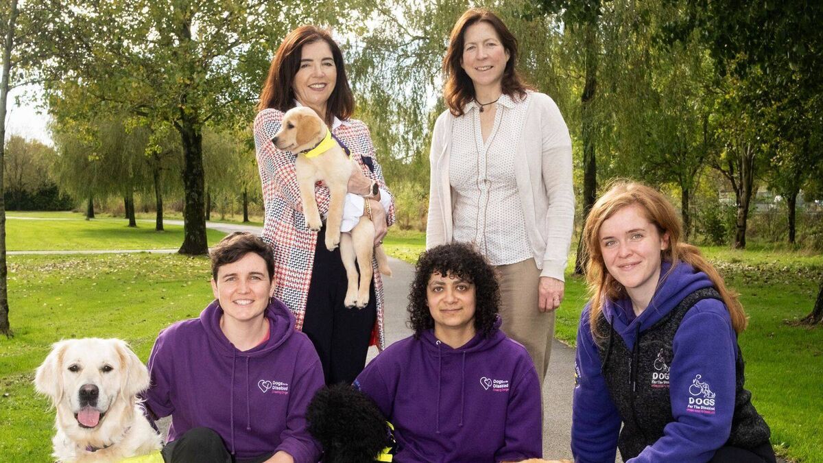 Cork's Dogs for the Disabled secures new home