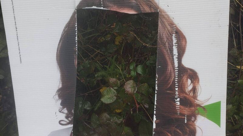 'I’ve never seen that level of destruction': Cork election candidate calls for end to poster vandalism