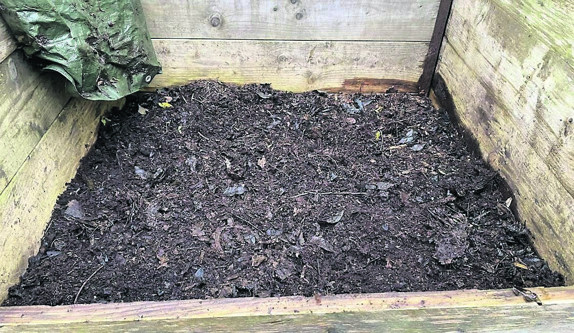 The smaller the leaf then the quicker it will be to compost. Picture: Christine Linehan The smaller the leaf then the quicker it will be to compost. Picture: Christine Linehan