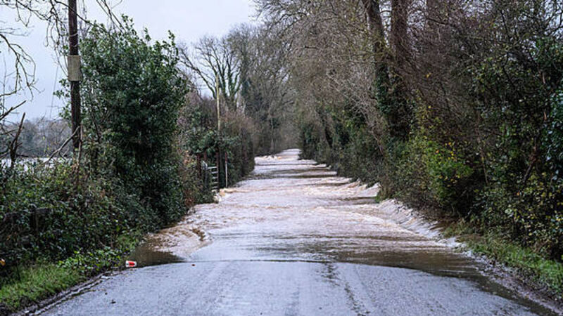 Storm Bert: Yellow wind warning in place for seven counties Storm Bert: Yellow wind warning in place for seven counties