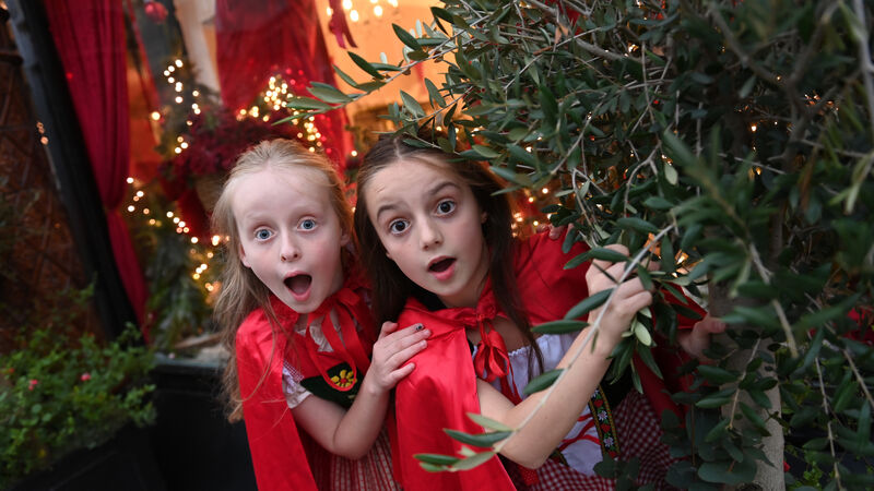 Two friends to star as Red Riding Hood in panto at Cork's Everyman 