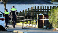 Fatal Assault Dunsink Green