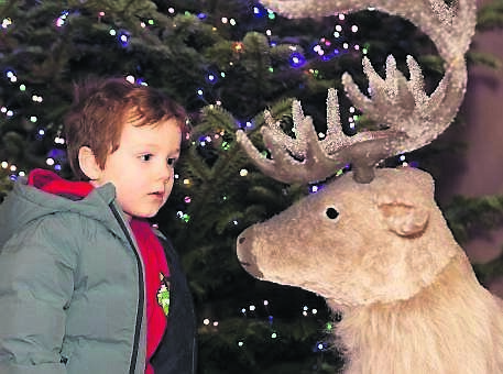 Liam Sullivan, Ballincollig, enjoying a sneak Liam Sullivan, Ballincollig, enjoying a sneak