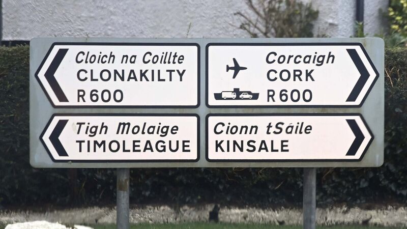 General Election 2024: Childcare, housing and cost of living key issues in Cork South West constituency General Election 2024: Childcare, housing and cost of living key issues in Cork South West constituency