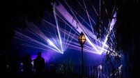 Wonderlights: a dazzling winter attraction at Fota House