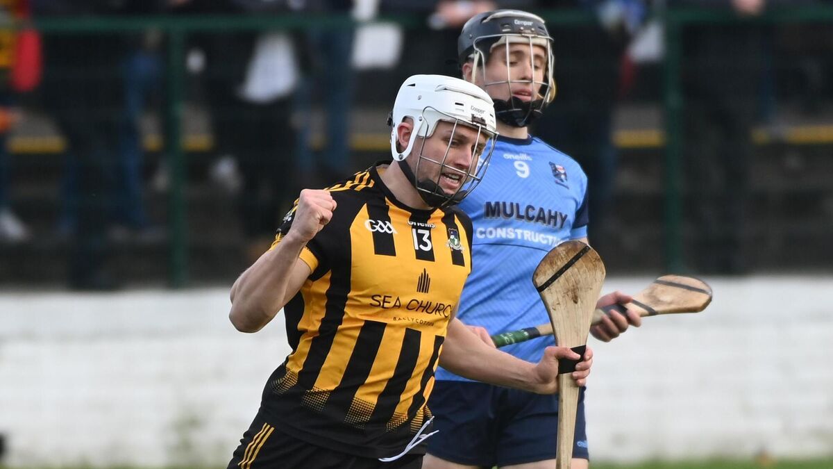 Munster Club Hurling: Russell Rovers' return to final offers chance of ...