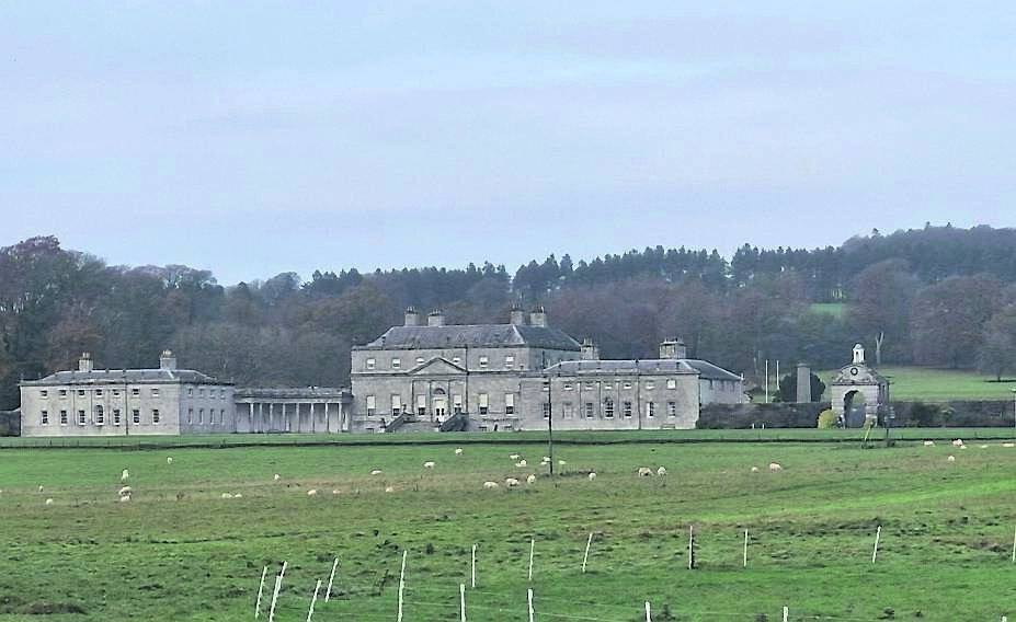 Views back to Russborough House from the loop walk south of the house